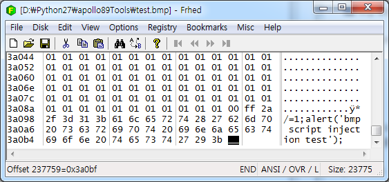 bmp_script_injection3